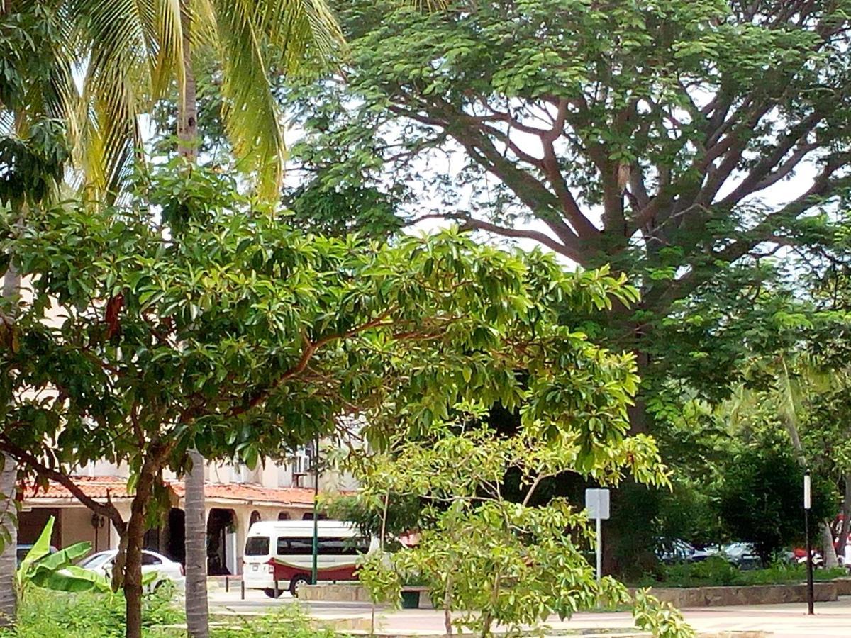 Camino Al Mar Appartement Santa Cruz Huatulco Buitenkant foto